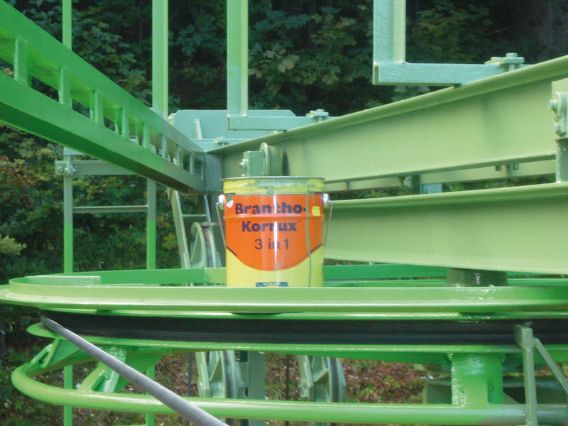 Laden Sie das Bild in Galerie -Viewer, Brantho Korrux 3in1 Rostschutzfarbe - Heinrich Schweizer AG