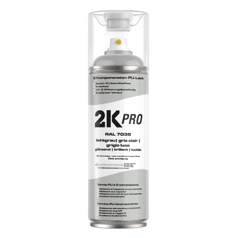 Laden Sie das Bild in Galerie -Viewer, 2K Spraydose 250ml - 2 Komponenten Sprühlack | 2K - PRO - xenial - shop.de