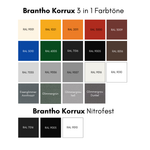 Farbkarte Brantho Korrux 3 in 1 und Nitrofest mit RAL-Farbtönen und Glimmerfarben